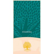 ESSENTIAL STAMINA 12kg